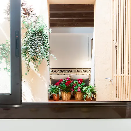 Aspasios Charming Flats *