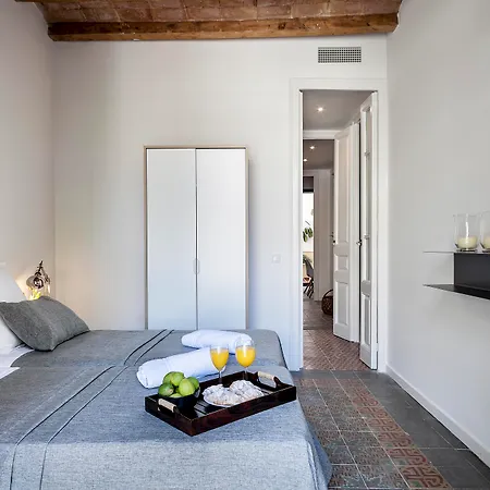 Aspasios Charming Flats Apartment